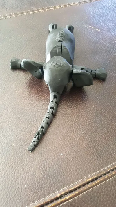 https://makerworld.bblmw.com/makerworld/comment/20260321/2325984652/77a0c41b3e25a751.jpg