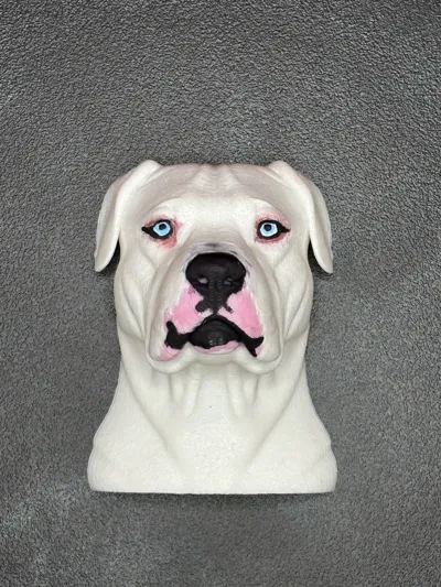 https://makerworld.bblmw.com/makerworld/comment/20260321/252674238/2269364e6ce843e4.jpg