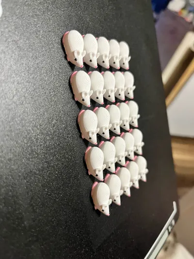 https://makerworld.bblmw.com/makerworld/comment/20260321/256788131/e8662b78ad0fdfe5.jpg
