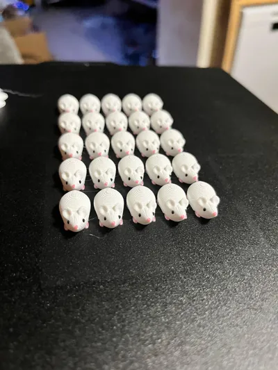 https://makerworld.bblmw.com/makerworld/comment/20260321/256788131/f63211422cad4e66.jpg