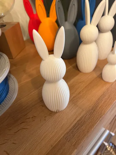 https://makerworld.bblmw.com/makerworld/comment/20260321/2731912110/4805bbce1cd3cc72.jpg
