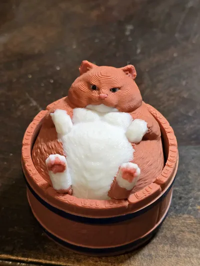 https://makerworld.bblmw.com/makerworld/comment/20260321/3243987029/0f8472687688bc53.jpg