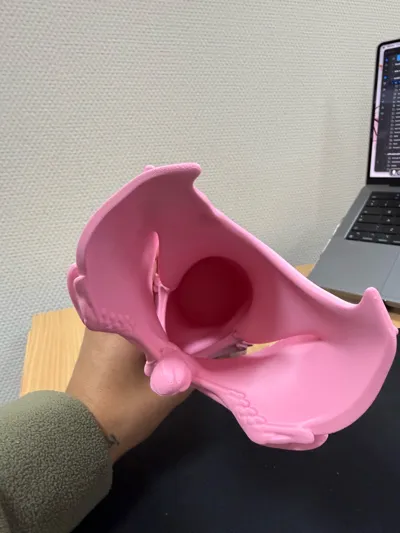 https://makerworld.bblmw.com/makerworld/comment/20260321/3391059963/0e6224ffe2e33987.jpg