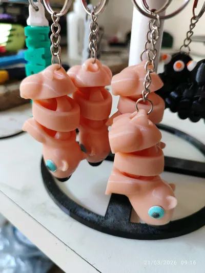 https://makerworld.bblmw.com/makerworld/comment/20260321/3553797879/88a03002ea1f1c86.jpg