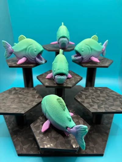 https://makerworld.bblmw.com/makerworld/comment/20260321/3654254641/5beb5dcd5c744798.jpg