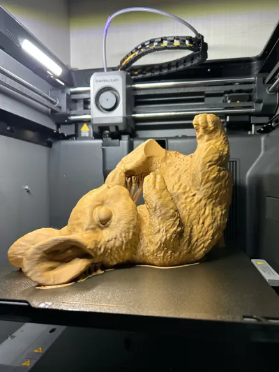 https://makerworld.bblmw.com/makerworld/comment/20260321/3906641150/6849a2971d55e2ae.jpg
