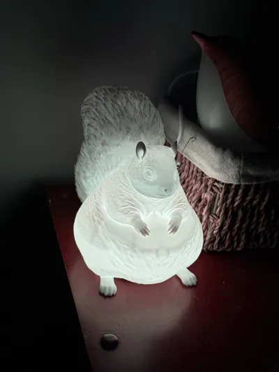 https://makerworld.bblmw.com/makerworld/comment/20260321/3927632213/3982abc69da486f1.jpg