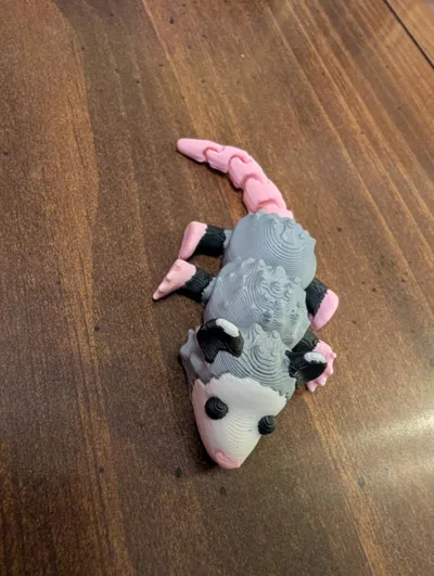 https://makerworld.bblmw.com/makerworld/comment/20260321/415243923/b08594bc909e7cbe.jpg
