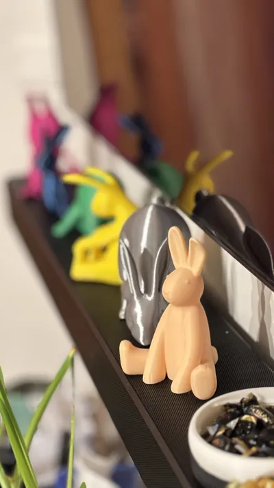 https://makerworld.bblmw.com/makerworld/comment/20260321/4227889337/bd4bbc05c88495e1.jpeg