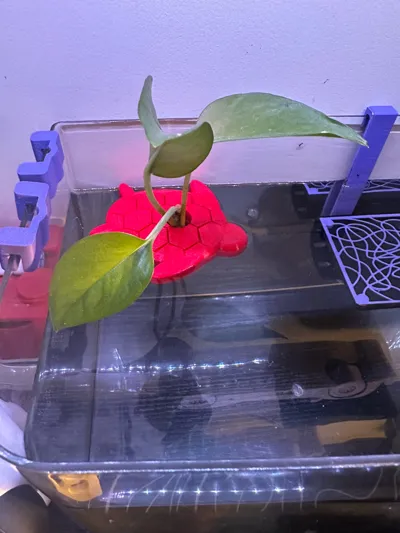 https://makerworld.bblmw.com/makerworld/comment/20260321/4271409839/7ba2caf165b82fa5.jpg