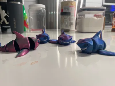 https://makerworld.bblmw.com/makerworld/comment/20260321/758304538/486ffbb7b6d0d583.jpg