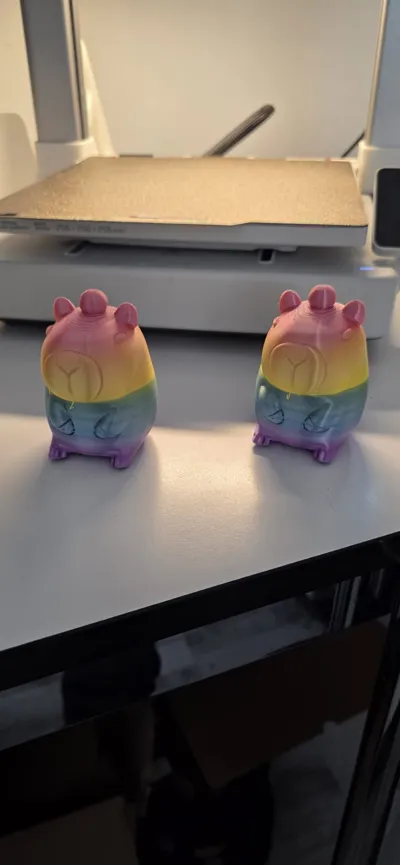 https://makerworld.bblmw.com/makerworld/comment/20260321/822353799/be00167ae750b973.jpg
