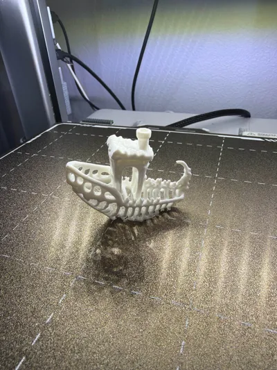 https://makerworld.bblmw.com/makerworld/comment/20260321/896325322/839b58c124941aba.jpg