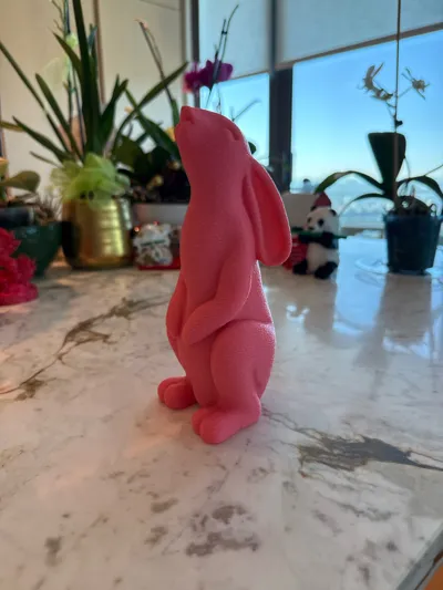 https://makerworld.bblmw.com/makerworld/comment/20260321/986766716/237fc1c77a64adee.jpg