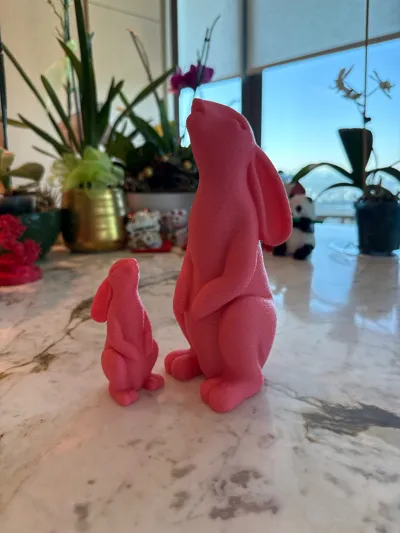 https://makerworld.bblmw.com/makerworld/comment/20260321/986766716/7e03751afa81f1be.jpg