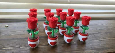 https://makerworld.bblmw.com/makerworld/comment/20260322/1670154111/231e565653b27ef9.jpg
