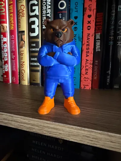 https://makerworld.bblmw.com/makerworld/comment/20260322/1719573271/28c029488196af61.jpg