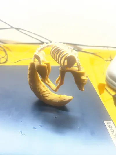 https://makerworld.bblmw.com/makerworld/comment/20260322/1863339768/a113c6c1fa2e72a6.jpg