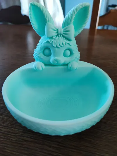 https://makerworld.bblmw.com/makerworld/comment/20260322/189198332/cd9d17a0ce8cd73b.jpg