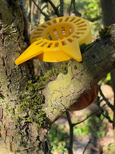https://makerworld.bblmw.com/makerworld/comment/20260322/2131068459/a7d89f4732ac69b2.jpg