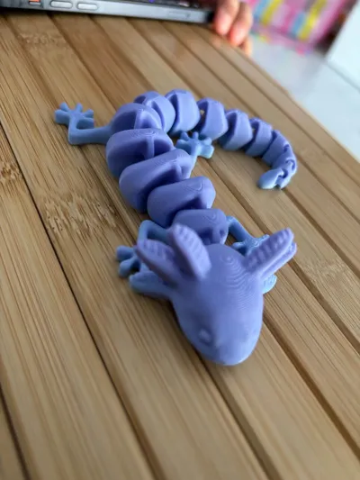 https://makerworld.bblmw.com/makerworld/comment/20260322/213504140/2ed067c63642b930.jpg