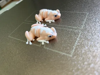 https://makerworld.bblmw.com/makerworld/comment/20260322/2418547798/632dec5f443499be.jpg