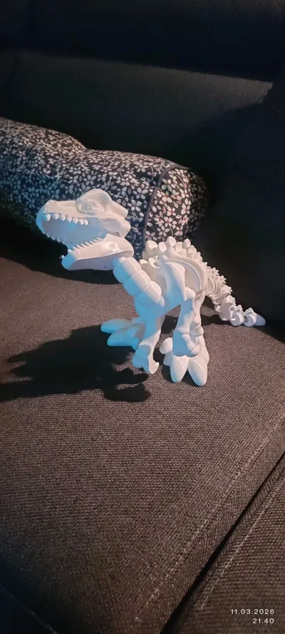 https://makerworld.bblmw.com/makerworld/comment/20260322/2505644006/82d53728491cc968.jpg