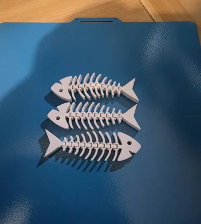 https://makerworld.bblmw.com/makerworld/comment/20260322/2510939346/258dd7f2e2ab133d.jpg