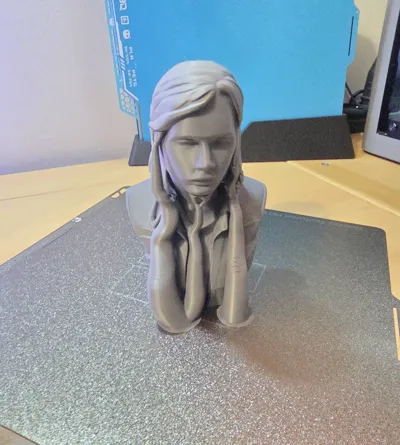 https://makerworld.bblmw.com/makerworld/comment/20260322/2510939346/2a4a24f84740a2ef.jpg