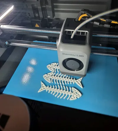 https://makerworld.bblmw.com/makerworld/comment/20260322/2510939346/9cbedae06e24b924.jpg