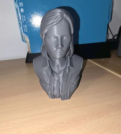 https://makerworld.bblmw.com/makerworld/comment/20260322/2510939346/b31379f92e6b8511.jpg