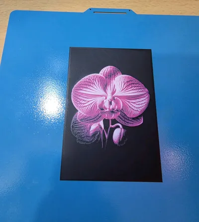 https://makerworld.bblmw.com/makerworld/comment/20260322/2510939346/dbcf64d1c92b325b.jpg
