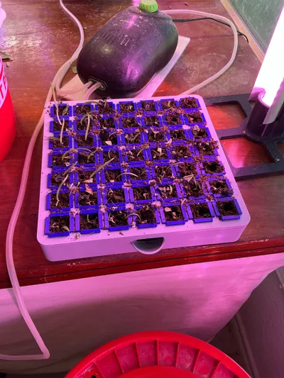 https://makerworld.bblmw.com/makerworld/comment/20260322/2666753651/221e841cbc6004de.jpg