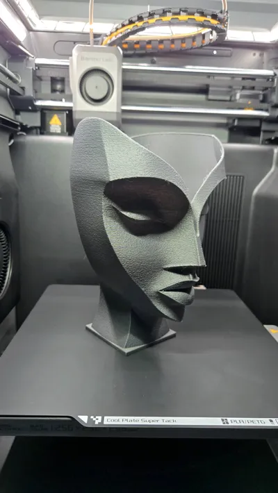 https://makerworld.bblmw.com/makerworld/comment/20260322/2682683288/075a95507bc431df.jpg