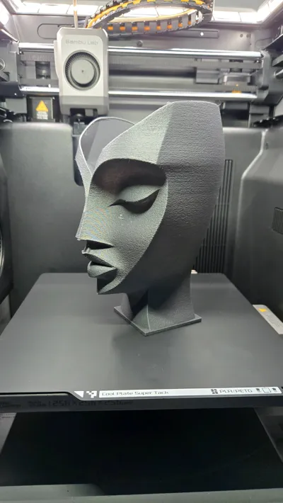 https://makerworld.bblmw.com/makerworld/comment/20260322/2682683288/e109dbe0d4585559.jpg