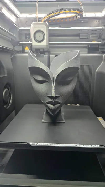 https://makerworld.bblmw.com/makerworld/comment/20260322/2682683288/e36f953cc5adf5e6.jpg