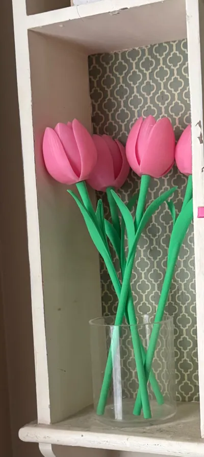 https://makerworld.bblmw.com/makerworld/comment/20260322/2717408582/8607e16308f894d7.jpg
