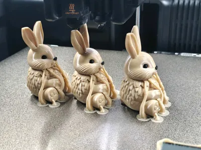 https://makerworld.bblmw.com/makerworld/comment/20260322/272104410/9ce2c9af5b985946.jpg