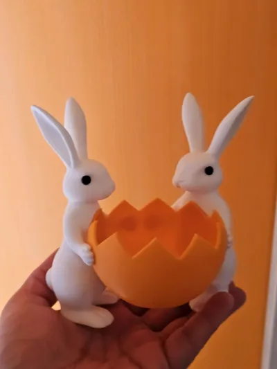 https://makerworld.bblmw.com/makerworld/comment/20260322/2793305574/1fae03859e581da1.jpg