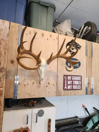 https://makerworld.bblmw.com/makerworld/comment/20260322/3690586204/d47f8b024e6ca987.jpg