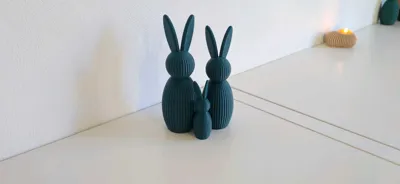 https://makerworld.bblmw.com/makerworld/comment/20260322/3910603172/ce634b39e23001d3.jpg