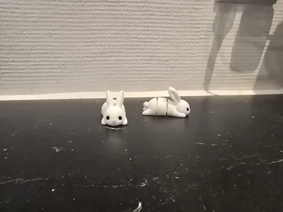 https://makerworld.bblmw.com/makerworld/comment/20260322/3910603172/ef212ed6e05244de.jpg