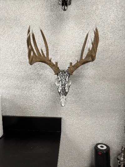 https://makerworld.bblmw.com/makerworld/comment/20260322/398696930/4bb7254e490785e6.png