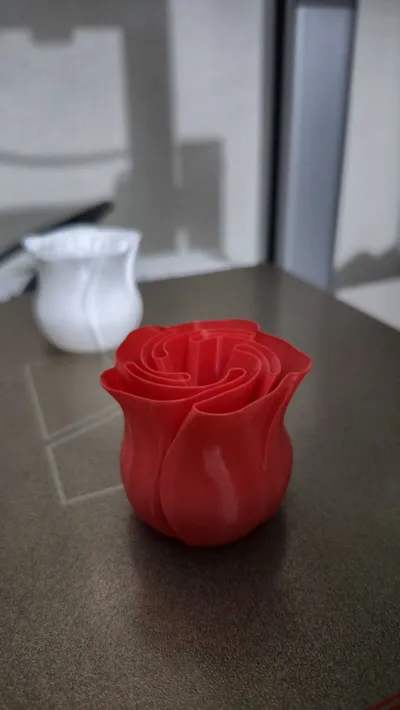 https://makerworld.bblmw.com/makerworld/comment/20260322/403498787/ff040d1e860887e0.jpg