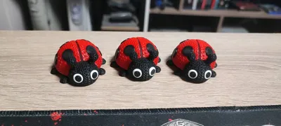 https://makerworld.bblmw.com/makerworld/comment/20260322/4089321778/b42db26936b3728c.jpg