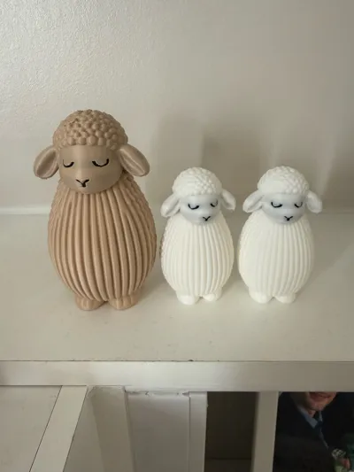 https://makerworld.bblmw.com/makerworld/comment/20260322/4114322637/344c37b8a5132819.jpg