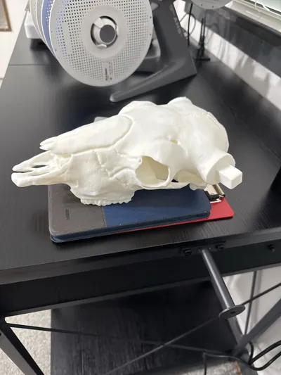 https://makerworld.bblmw.com/makerworld/comment/20260322/4257903782/0fad0576ad032aab.jpg