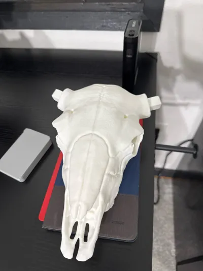 https://makerworld.bblmw.com/makerworld/comment/20260322/4257903782/61c5df3e88740fc0.jpg