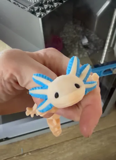 https://makerworld.bblmw.com/makerworld/comment/20260322/4293681565/e1fe7eb8d303ebc3.jpg