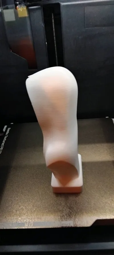 https://makerworld.bblmw.com/makerworld/comment/20260322/537927963/4e2ded28fa2cd4c2.jpg